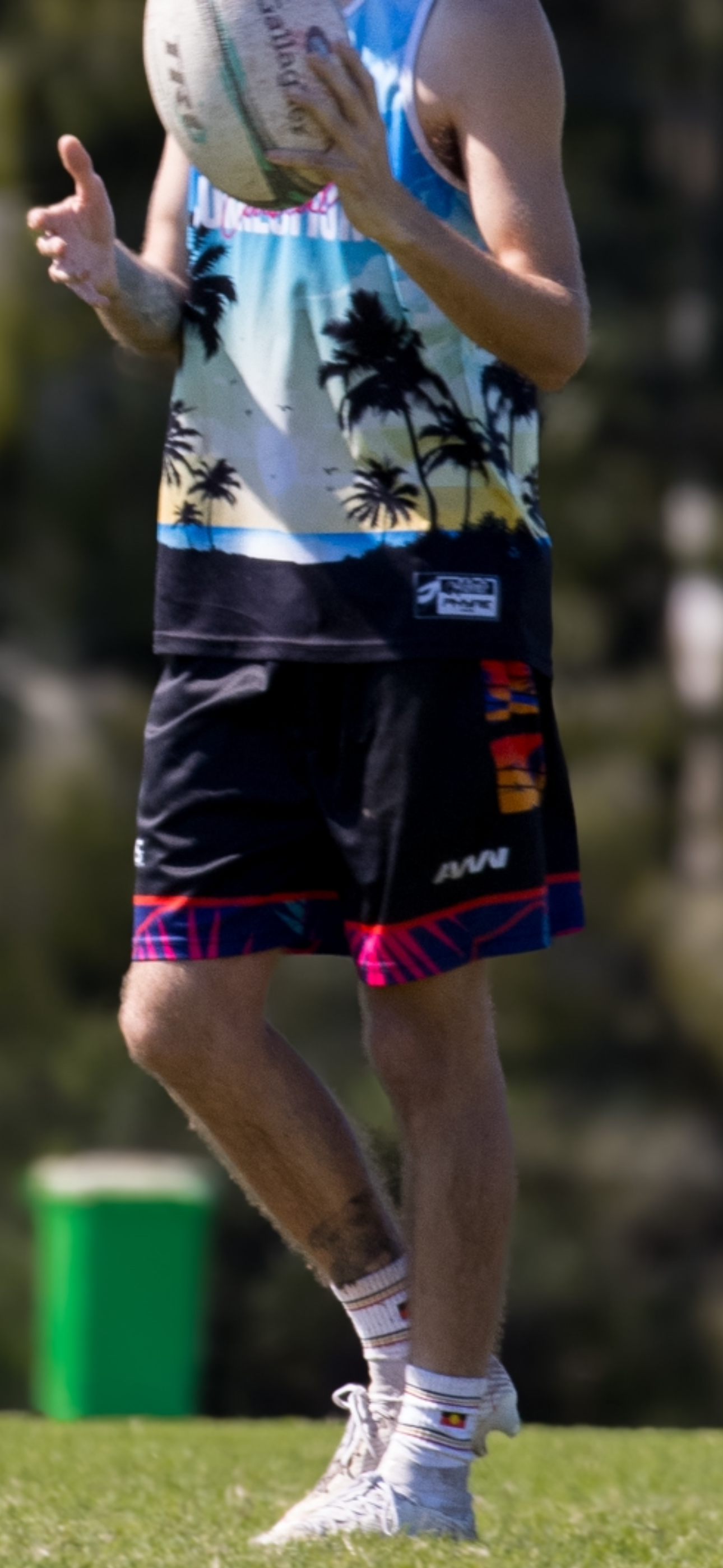 Coastal Dusk Palm Sports Shorts